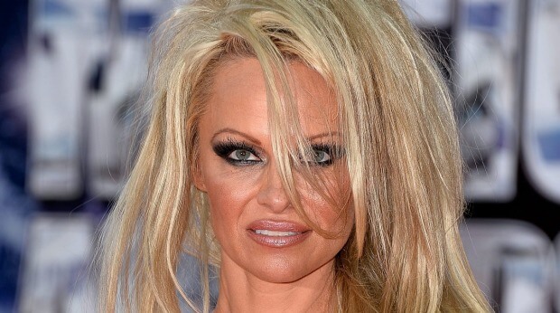 Pamela Anderson Biography, Age, Weight, Height, Friend, Like, Affairs, Favourite, Birthdate & Other