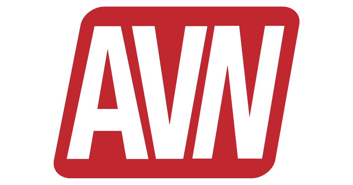 2011 AVN awards nominee